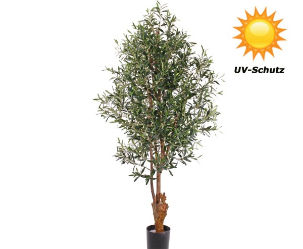 Olivenbaum UV safe mit 4160 Blätter und Holzstamm Höhe ca. 170cm