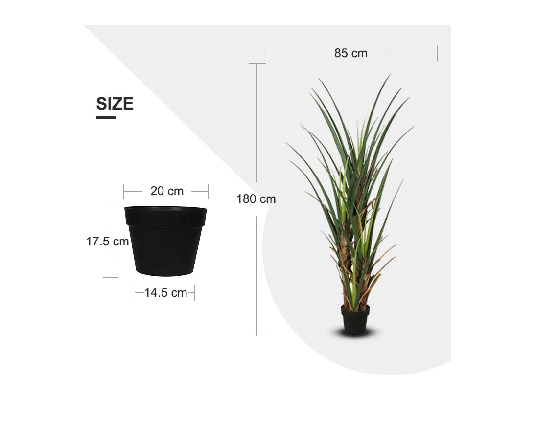 Dracena Kunstpflanze 180cm mit Topf online günstig kaufen