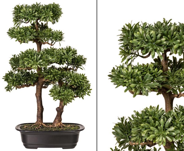 Podocarpus Bonsai Kunstbaum mit 2 Stämmen in Schale 47cm