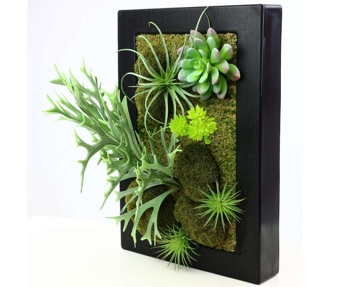 Nearly Natural Orchidee & Sukkulenten Arrangement – Künstliche Pflanze Im Stuhl-Topf, 50,8 Cm Hoch