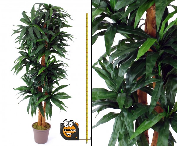 Dracena Kunstpflanze mit 368 Blättern 200cm 2 Naturstämme